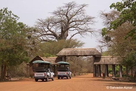 Reserva de Bandia, Senegal