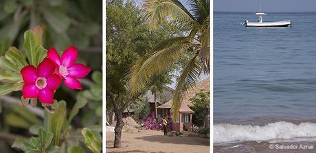 Región de Mbour / Somone y Saly