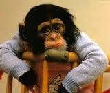 Reflexión: Bajones lectores.