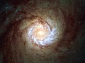 Hubble observa Galaxia Starburst gran actividad.