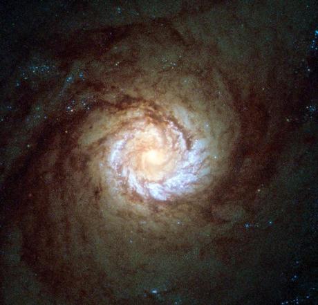 El Hubble observa una Galaxia Starburst de gran actividad.