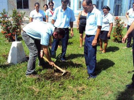 Yo, hoy todavía, plantaría Un Árbol por los Cinco [+ propuesta y fotos]