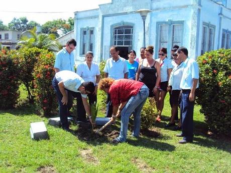 Yo, hoy todavía, plantaría Un Árbol por los Cinco [+ propuesta y fotos]