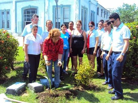 Yo, hoy todavía, plantaría Un Árbol por los Cinco [+ propuesta y fotos]