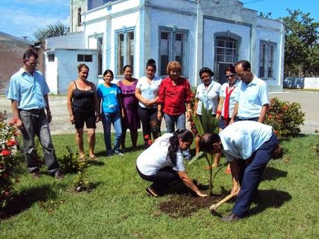 Yo, hoy todavía, plantaría Un Árbol por los Cinco [+ propuesta y fotos]