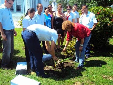 Yo, hoy todavía, plantaría Un Árbol por los Cinco [+ propuesta y fotos]