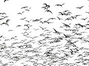 Para olvidar: Carmen Carlos algunas historias más)