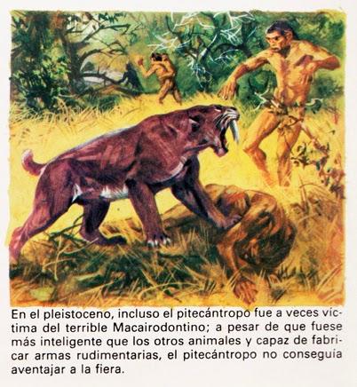 Fusilando sin piedad: Sanjulián after Vida íntima de los animales after...