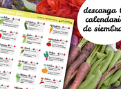 huerto Junio, calendario siembra!