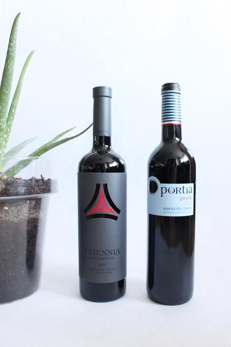 VISITA BODEGAS PORTIA