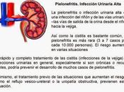 Pielonefritis: síntomas tratamiento