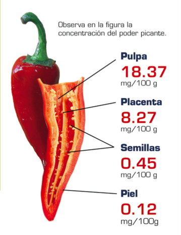 Dónde pican los chiles (Cortesía: unamiradaalaciencia.unam.mx)