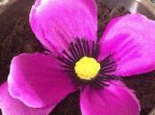 Receta: Postre tierrita