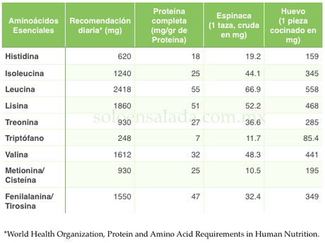 ¿Tiene más proteína la espinaca que el huevo?