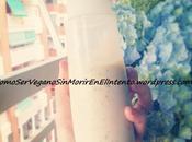 Salsa yogur soja pepino (Salsa Kebab)