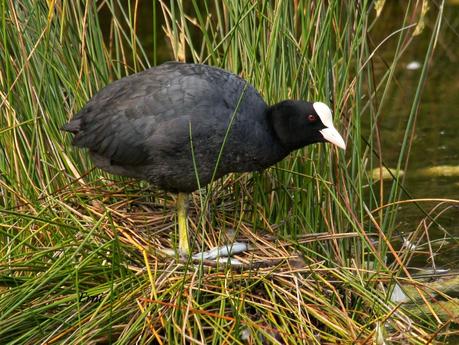 UNOS VAN, OTROS VUELVEN Y ALGUNO SE QUEDA...