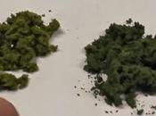 Cómo hacer matorrales