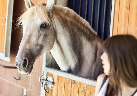 street style barbara crespo fashion blogger outfit blog de moda horses zara 