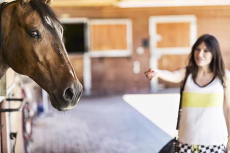 street style barbara crespo fashion blogger outfit blog de moda horses zara 