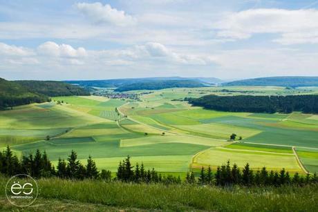 Wedeco…come en el exterior picnic-campo-escandinavo-22 copy