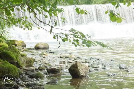 Wedeco…come en el exterior picnic-campo-escandinavo-17