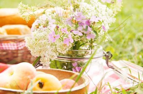 Wedeco…come en el exterior picnic-campo-escandinavo-06