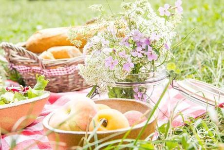 Wedeco…come en el exterior picnic-campo-escandinavo-07 copy