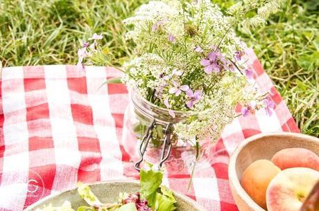 Wedeco…come en el exterior picnic-campo-escandinavo-04