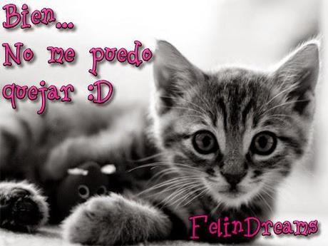 Antes de la Tormenta (serie Arcoíris # 1) by Hana Miyoshi