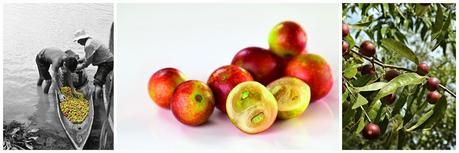 El secreto de la eterna juventud; el camu camu de Innovage Antiedad Amazónico El secreto de la eterna juventud; el camu camu de Innovage Antiedad Amazónico