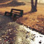 detalles_lluvia_2