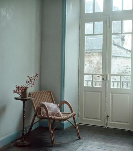 ¡Arriba las plantas!