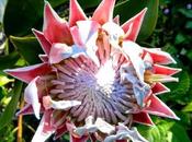 primera semana junio sorpresas primaverales