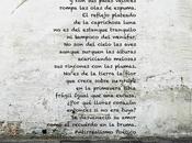 Cartas desde barricada