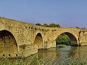 Puentes Talavera Reina