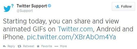 twitter-support-animated-gif