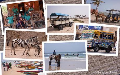 En tus viajes... lleva siempre una buena guía