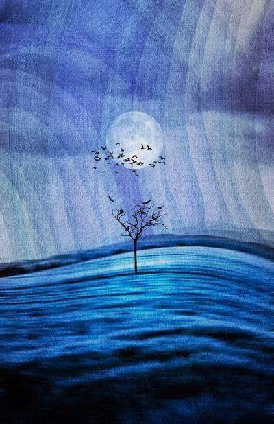 CON EL PASO DEL TIEMPO...