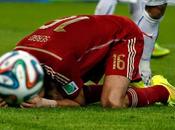 ocurra árboles dejen bosque