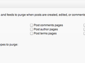 Optimizar WordPress para