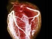 ¿puede corazón roto causa muerte?