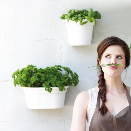 10 Ideas para tener un huerto en tu cocina