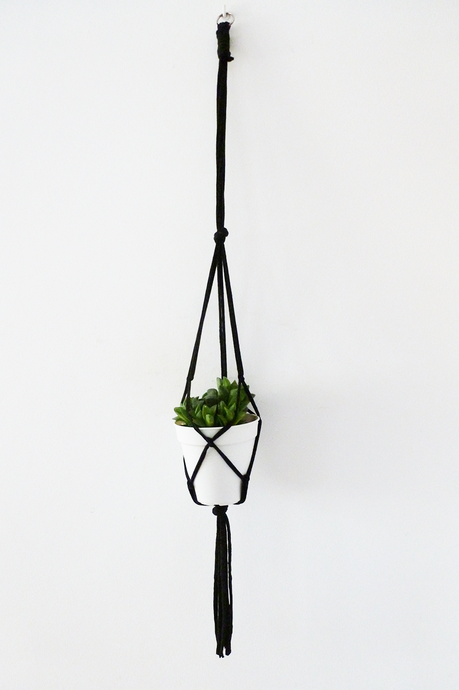 10 Ideas para tener un huerto en tu cocina