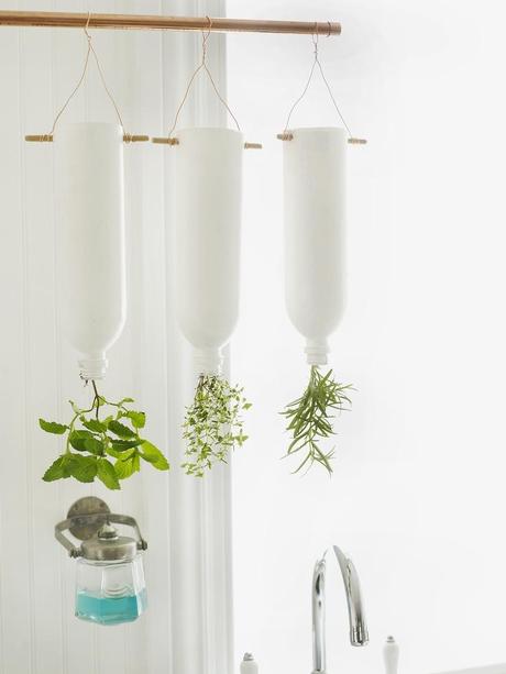 10 Ideas para tener un huerto en tu cocina