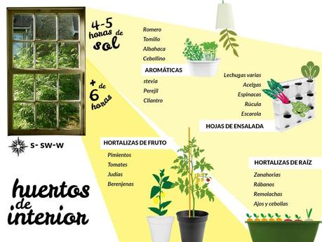 10 Ideas para tener un huerto en tu cocina