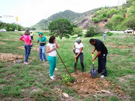Ministerio del Ambiente crea bosque forestal diverso en Nueva Esparta