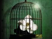 ¡Gymkama conjunta veraniega!