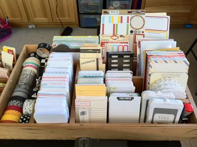 PROYECT LIFE ¿QUÉ ES?