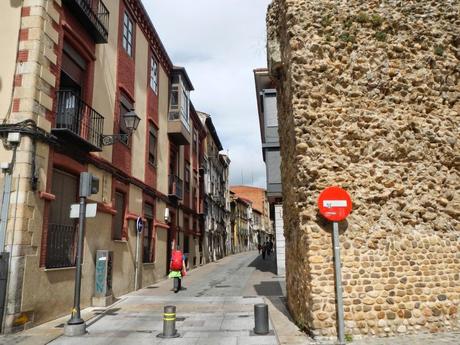 Camino de Santiago. De Mansilla de las Mulas a León