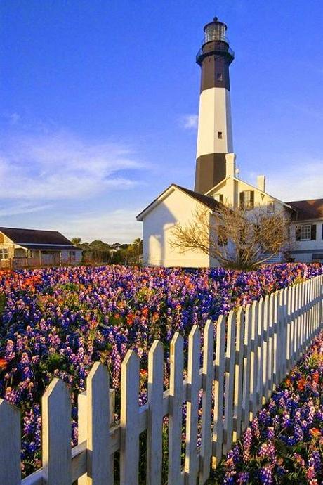 La magia del faro La magia del faro
